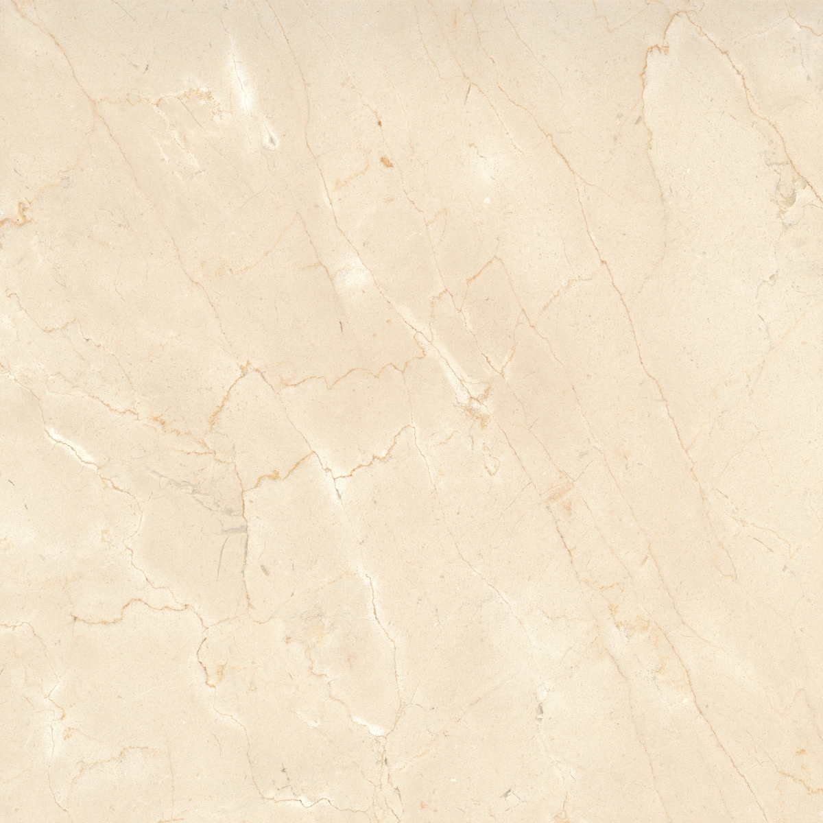 Crema Marfil Polished Marble Tile in classic cream color, available in sizes 12x24, 18x18, and 24x24, made of high-quality marble